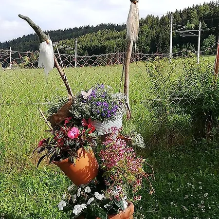 Haus Petra Lejlighed