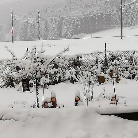 Haus Petra Neumarkt in Steiermark