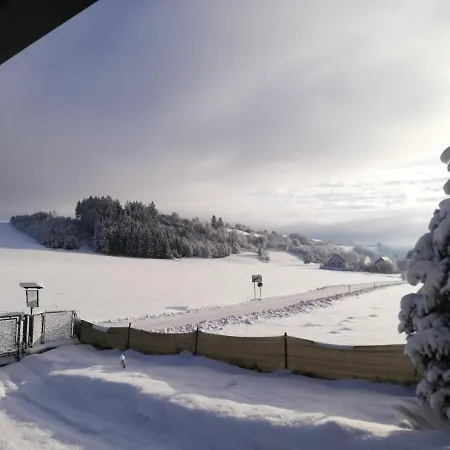 Haus Petra * Neumarkt in Steiermark
