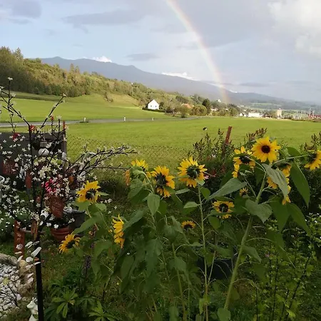 Haus Petra Neumarkt in Steiermark