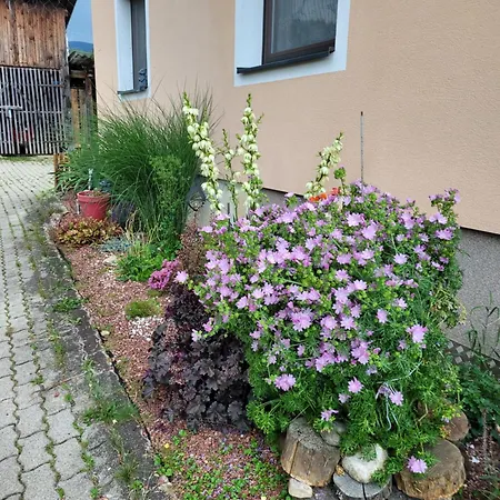 Lejlighed Haus Petra