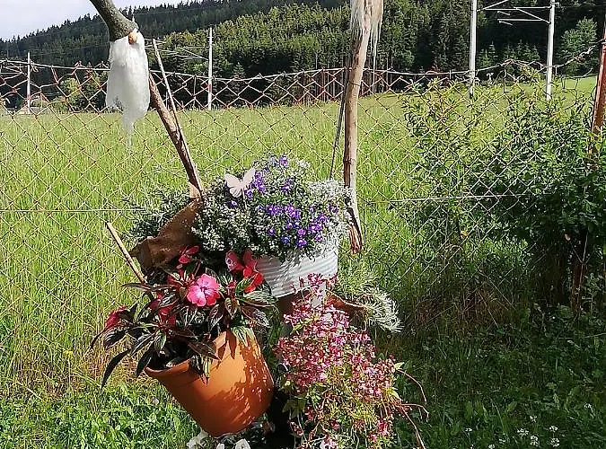 Haus Petra Apartamento