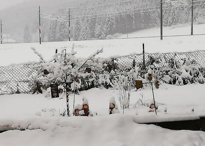 Haus Petra Neumarkt in Steiermark