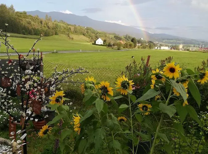 Haus Petra Neumarkt in Steiermark