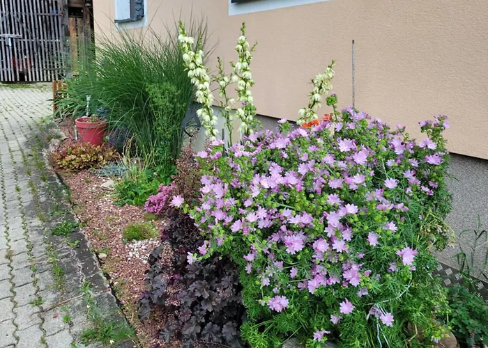 Apartment Haus Petra